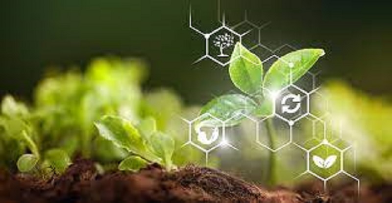 AI in Agriculture Market Research Report CAGR Growth of 28.05% and Predictive Business Strategy by 2027 | Potential Players Are Microsoft, Descartes Labs, Deere & Company, Granular, aWhere, The Climate Corporation.