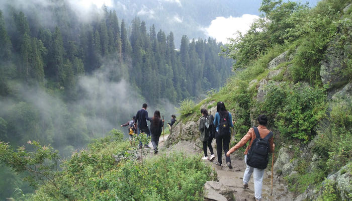 Corporate Offsite Destinations near Delhi | Corporate Team Outing in Jim Corbett