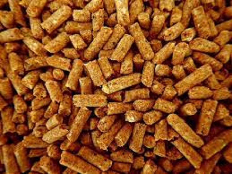 Feed Acidifiers Market is Growing by 2028 | Biggest Innovation pancosma, NUTREX.BE, Perstorp Orgnr, NOVUS INTERNATIONAL, Jefo, Anpario plc., Corbion, ADDCON GROUP GmbH, Peterlabs Holdings Berhad, Growel Agrovet Private Limited