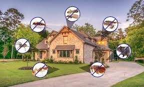 Residential Pest Control in Richmond VA