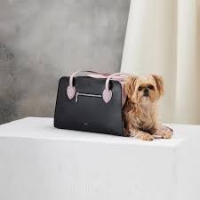 luxury dog accessories