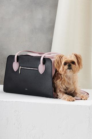 Luxury Dog Accessories
