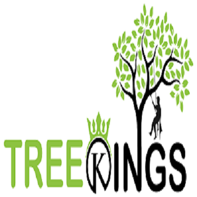 Local Tree Removal & Stump Removal In Preston – Tree Kings