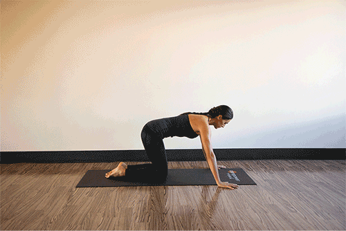 Avail wellness program to know about the best gut health supplements