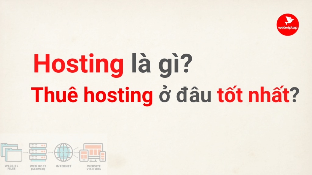 Dịch vụ cho thuê hosting là gì? thuê hosting là gì?