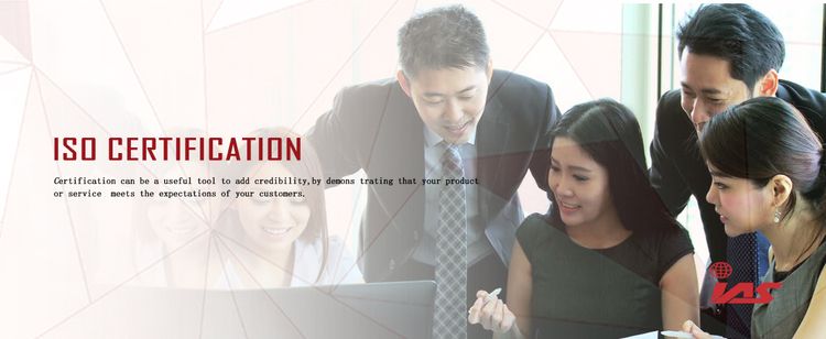 Internal audit training Courses