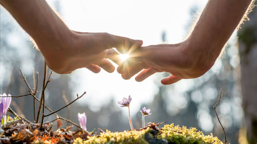 Consult Best Energy Healing In Florida And Feel Nice