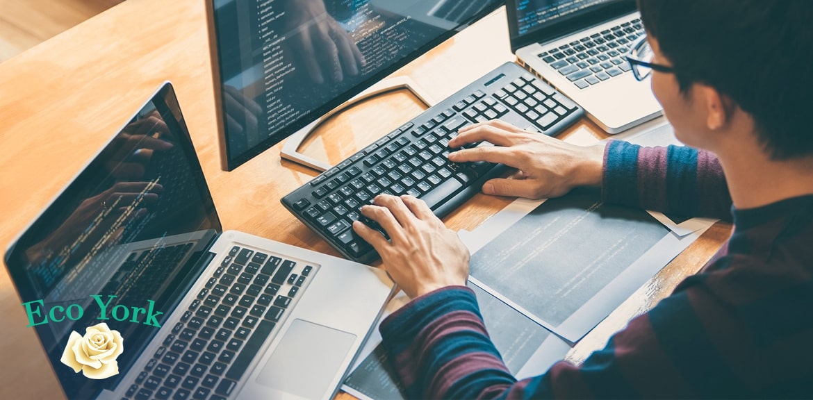 Factors You Must Consider While Selecting a Web Development Company