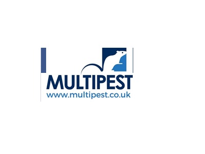 Pest Control Twickenham