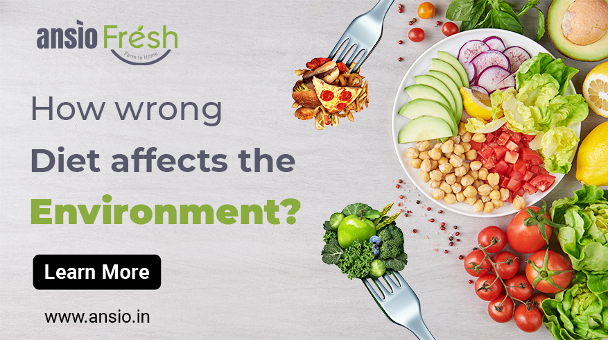 How the Wrong Diet Affects the Environment?