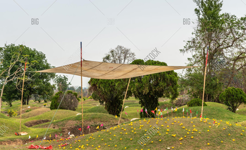 Can Tarps Be Used to Cover and Protect Plants?