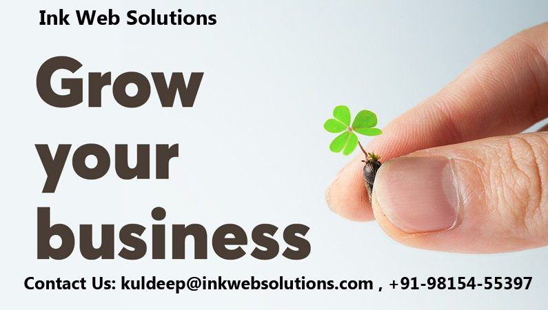 Custom Ecommerce Web, Website Development Company in Chandigarh