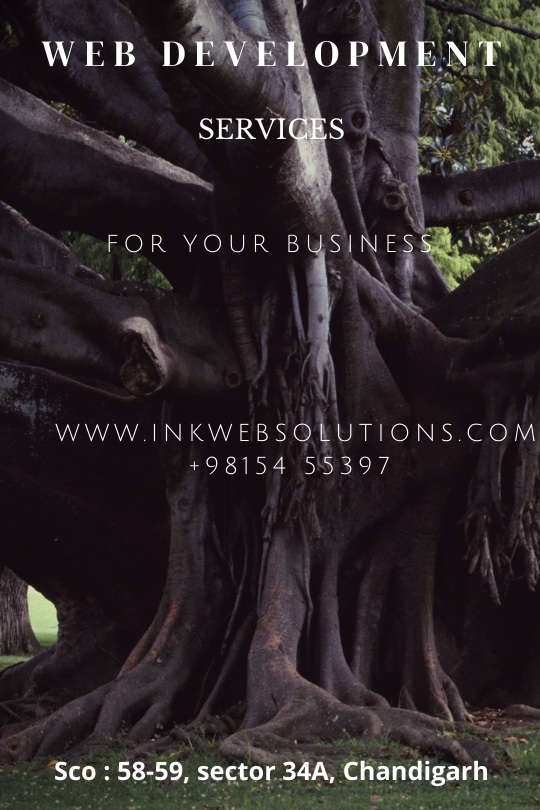 Best Responsive Website Development Company in Mohali - Ink Web Solutions