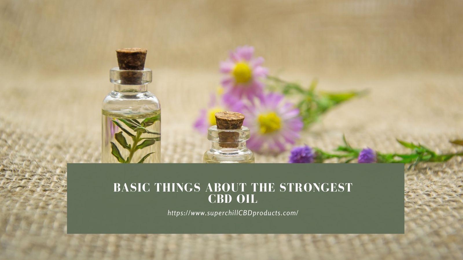 Basic Things About The Strongest CBD Oil