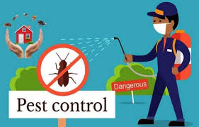 Residential Pest Control