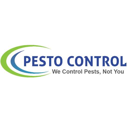 Low Price Pest Control Service in Jaipur | Pest Control in Jaipur