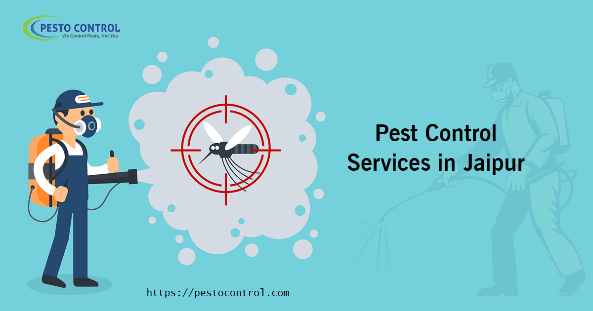 Best Pest Control in Jaipur for eliminating pests and bugs