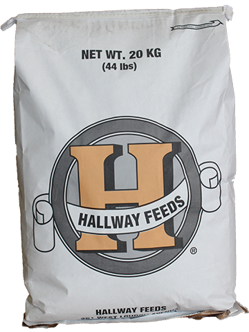 Order High Protein Horse Feed Supplements from Online Stores
