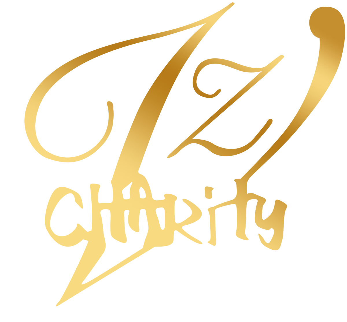 VZ Charity - Shop your clothing with Purpose or Cause