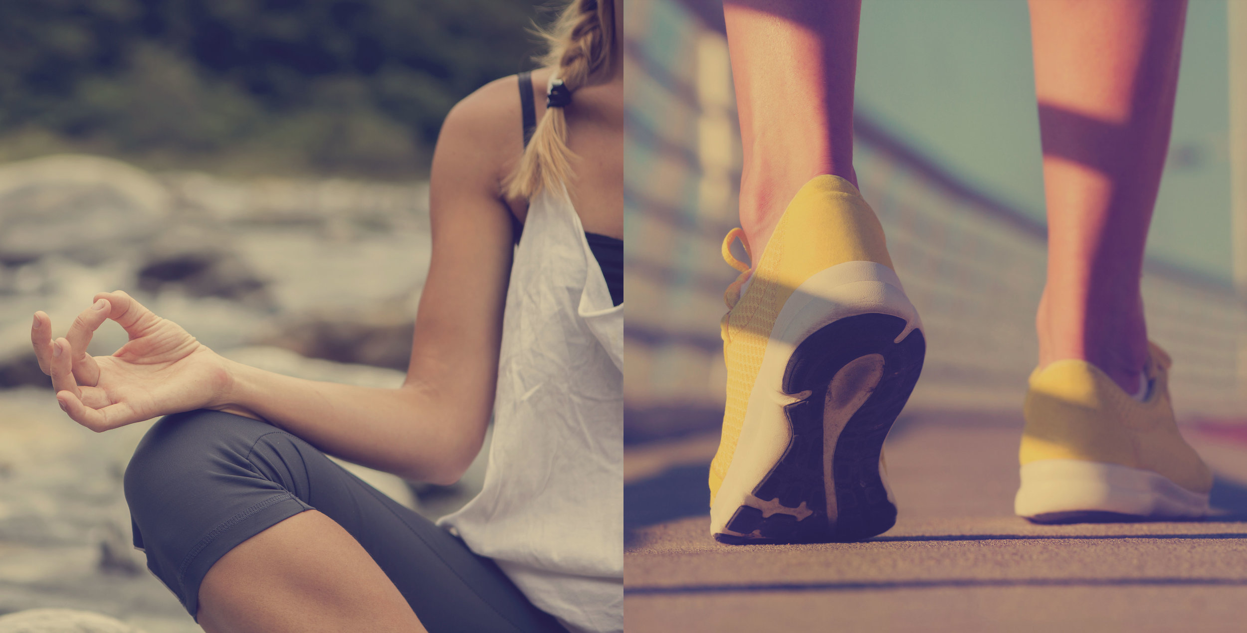 Fit Berdy : Increase Your Health Quality In Natural Way!