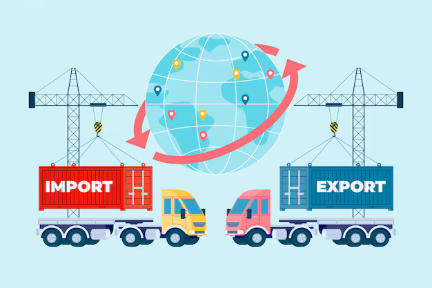 Unlock Global Trade Insights with Custom Import Export Data