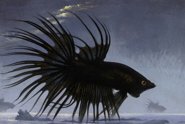 Cá đen trong giấc mơ có ý nghĩa gì?