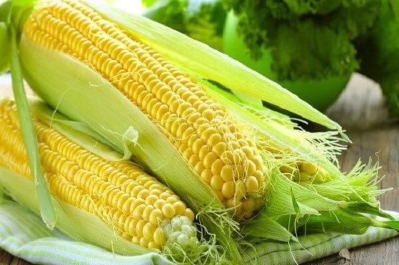 Ngủ mơ thấy bắp ngô là điềm báo gì? Đánh con nào?