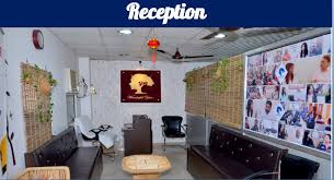 Clinical Psychologist in Meerut
