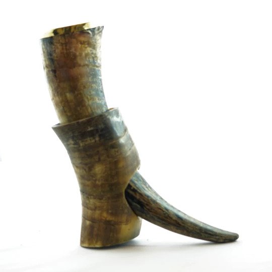 Want to Purchase the Best Drinking Horns? Must Read This!