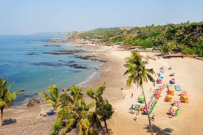 Luxury Villas With Private Pool Goa | Plan Your Dream Premium Villas