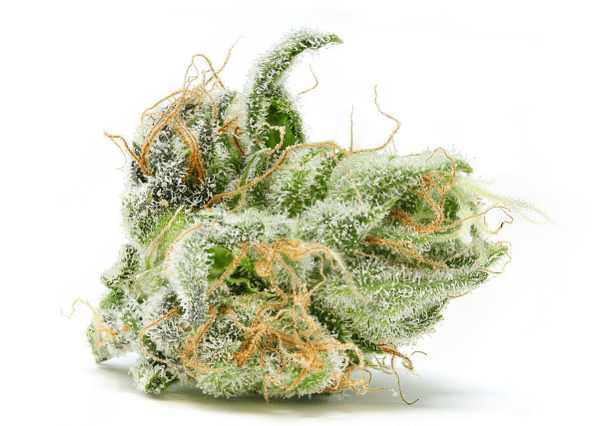 Indica Flower Provider in Washington DC