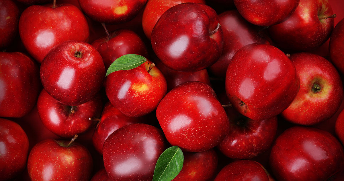 Apple: Fresh Pineapple Suppliers | Red Apple Manufacturers | Shoppa