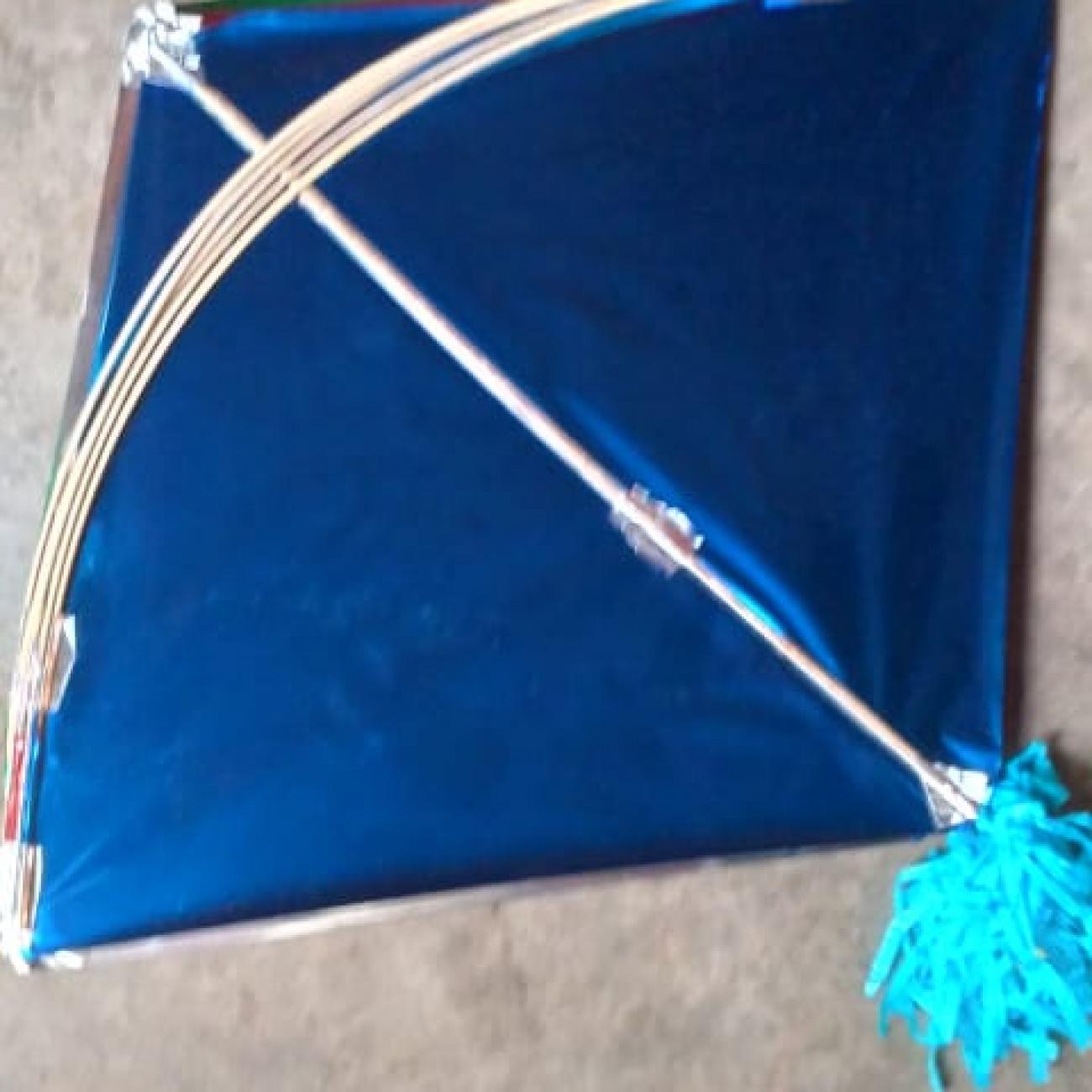 Simple Plain Kite Suppliers | Kite Buyers & Sellers in India | Shoppa.in