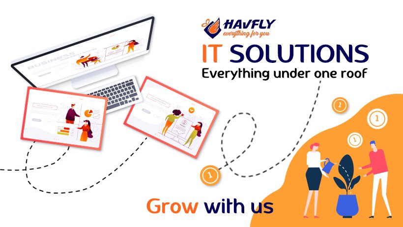 Best Web and App Development Services in Hisar, Haryana – Havfly