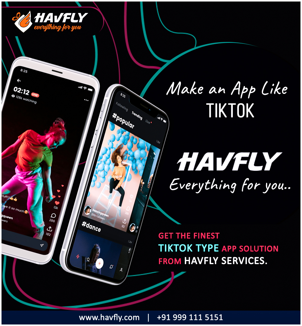 Best Tiktok like App Development Services in Hisar – Havfly