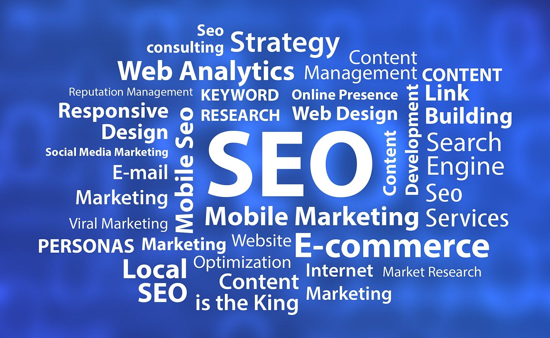 Seo Agency in Andheri