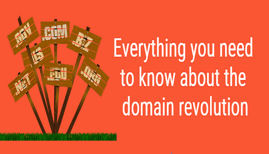Everything you need to know about the domain revolution