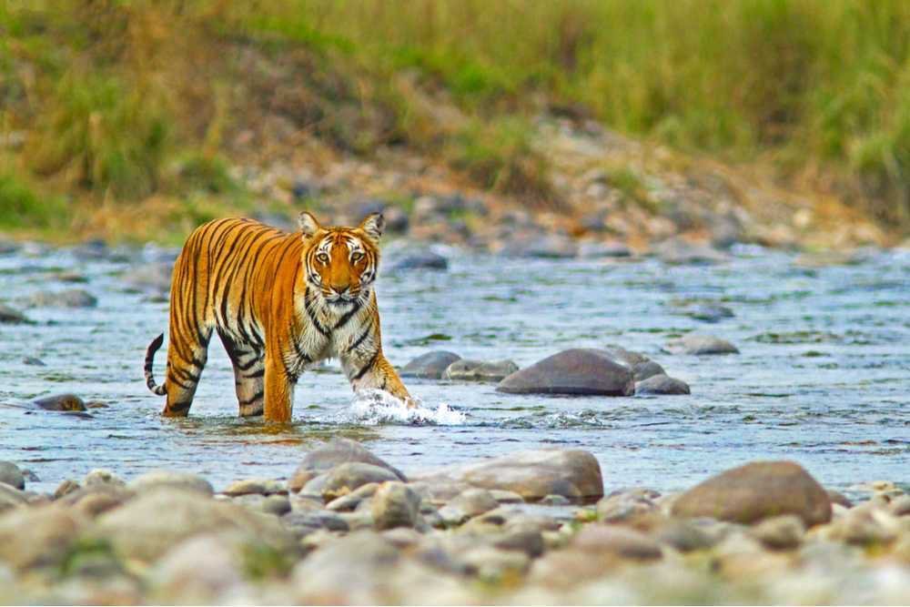 Wildlife Sanctuaries in India you should visit