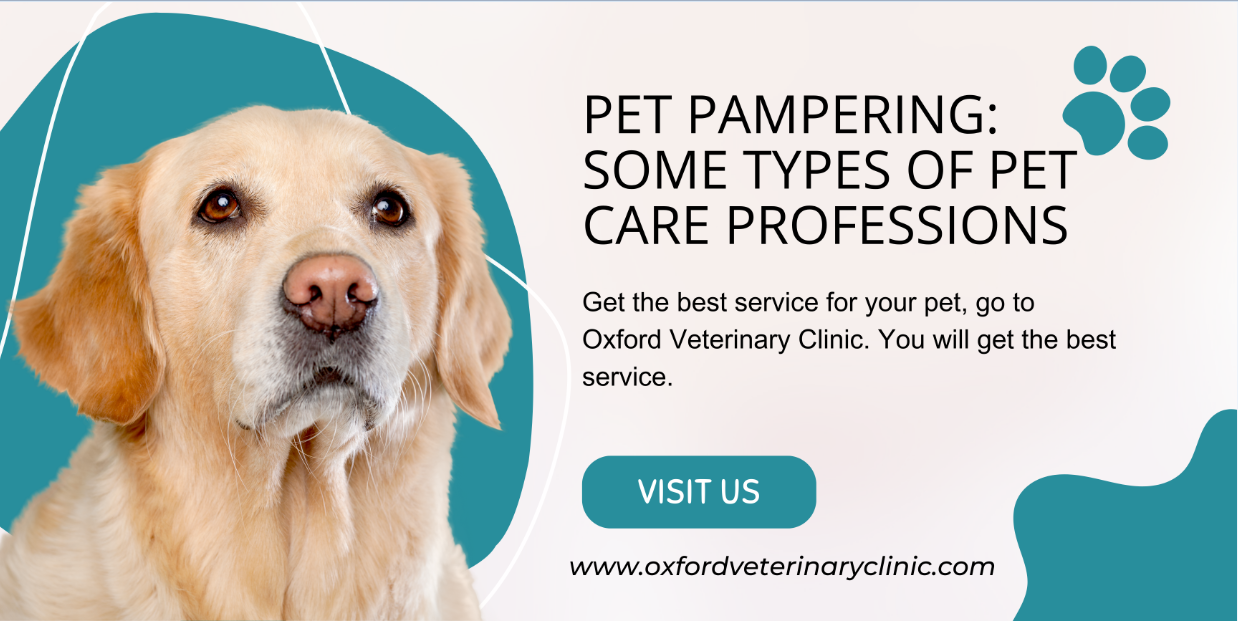  Pet Pampering: Some Types Of Pet Care Professions 
