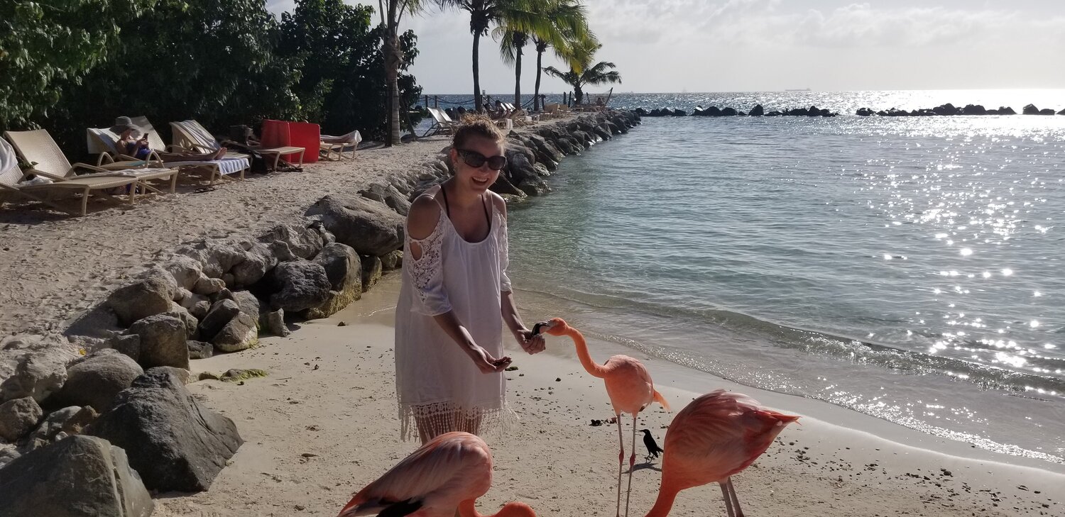 MAGICAL 8-DAY HONEYMOON IN ARUBA