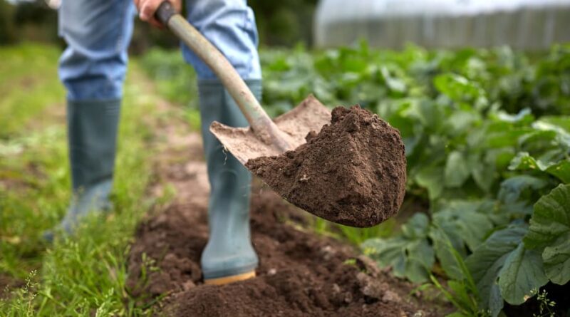 5 Ways a Shovel Can Be a Great Tool for You - Live Enhanced