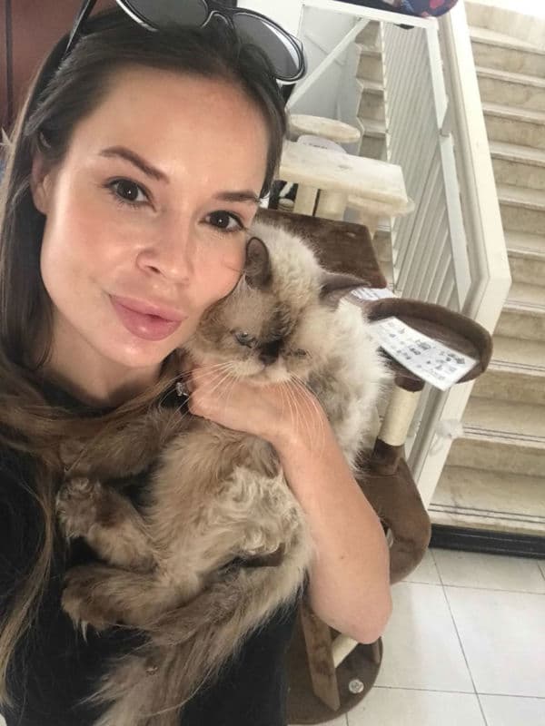 Who is behind JetSet pets?