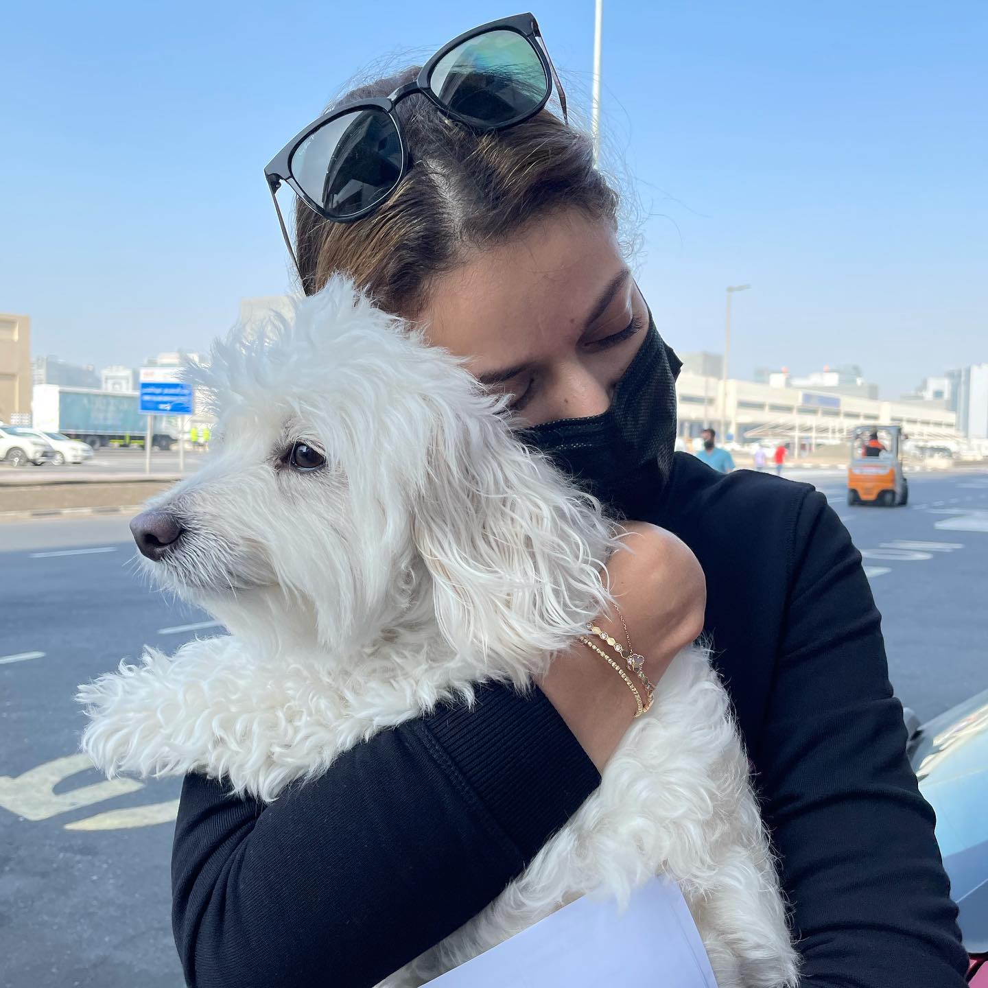 JetSet Pet - Pet Shipping Dubai