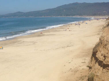 Visit half moon bay