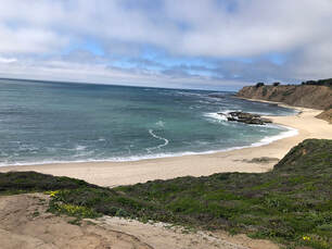 Visit half moon bay