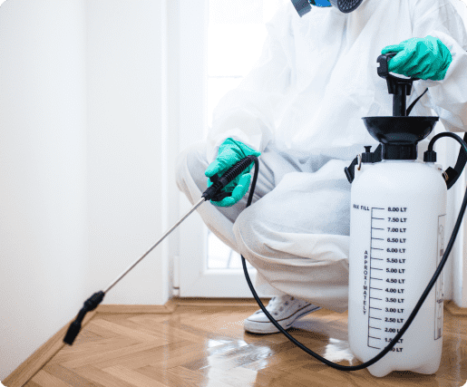 Bed Bug Spray in Fredericksburg VA