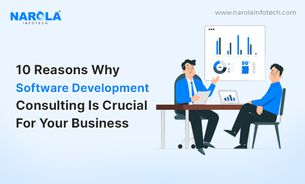 Why Software Development Consulting Is Crucial For Your Business