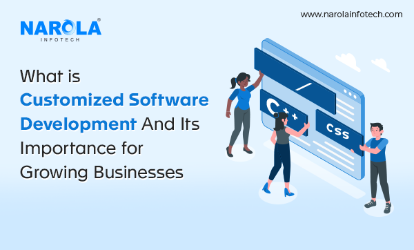 What is Custom Software Development And Its Importance for Growing Businesses