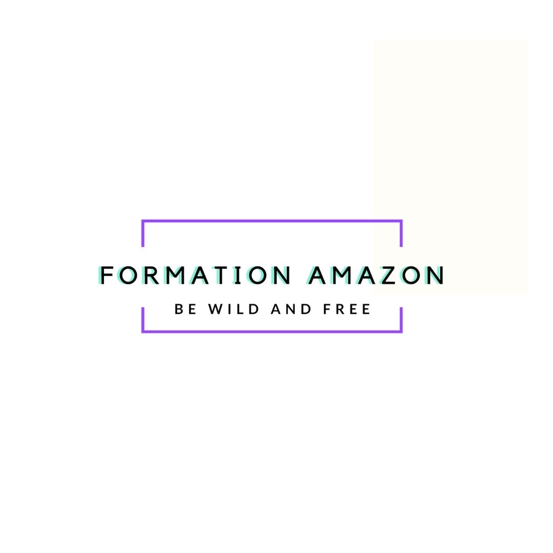 Conseils et Stratégies Pour Devenir un Vendeur Amazon Prospère