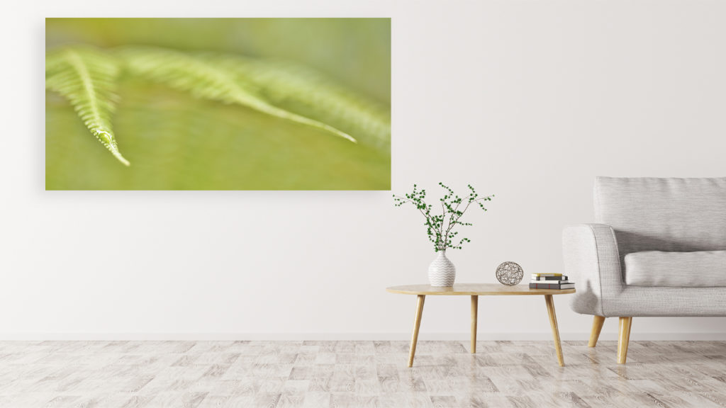 Why Choose Acrylic Print in Australia